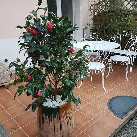 23 Rue Jean Amade Apartment Ceret Exterior photo