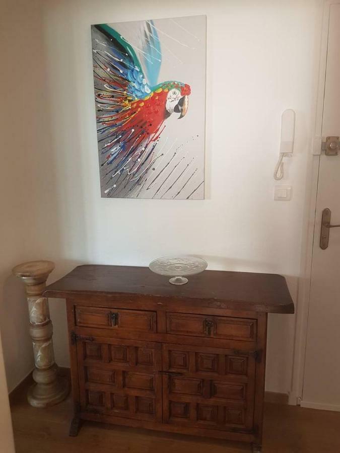 Appartement 23 Rue Jean Amade Céret